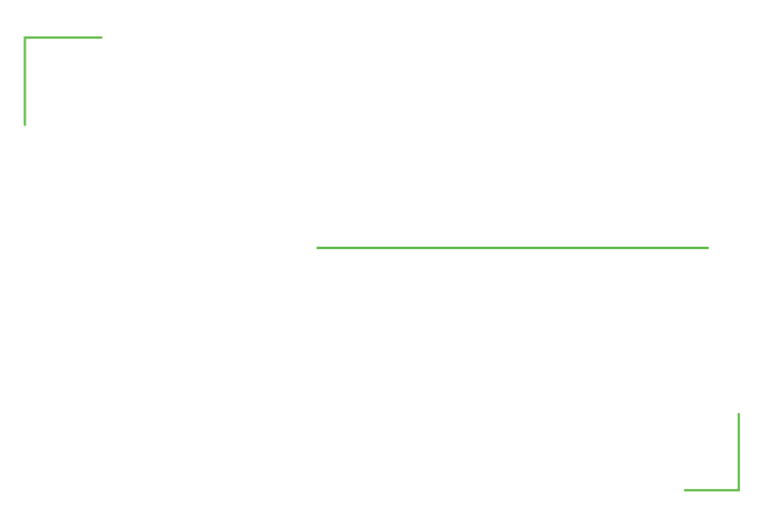 build the ultimate livescope bundle for all season use