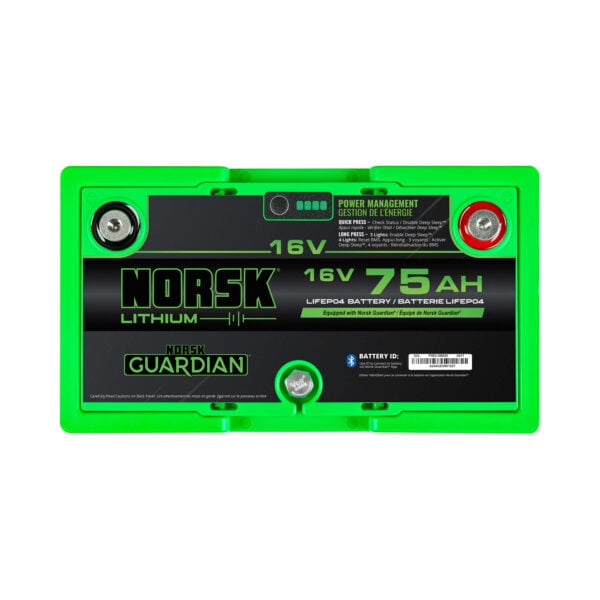 Top terminals of the 16V 75Ah LiFePO4 lithium deep cycle battery