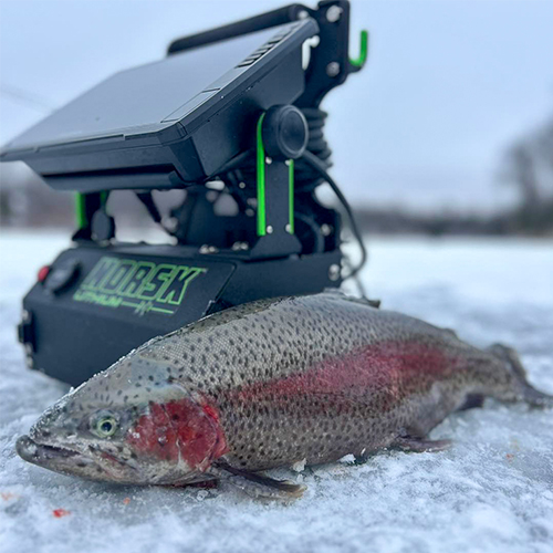 Derek Her January 2024 Ice Fishing Trout 500 x 500