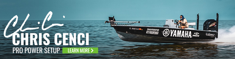 Category Banner